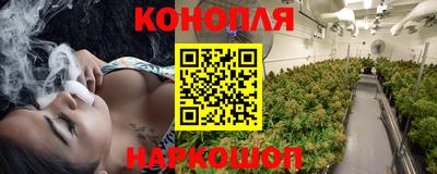 apvp Ярославль