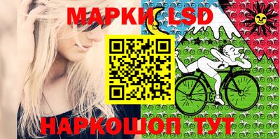 индика Шебекино
